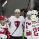 New Jersey Devils