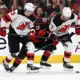 New Jersey Devils