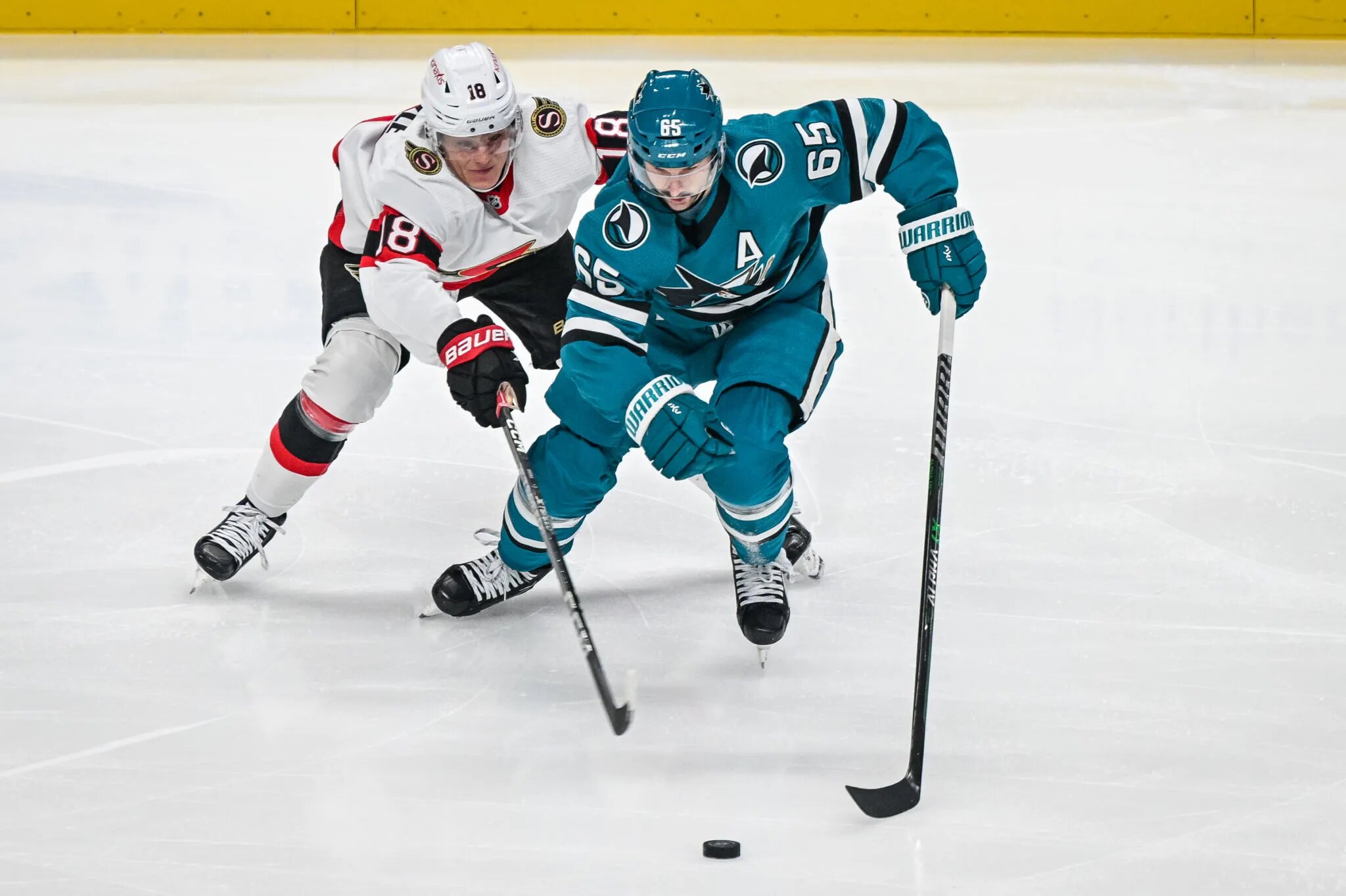 Revisiting the Timo Meier Trade - The Hockey News San Jose Sharks